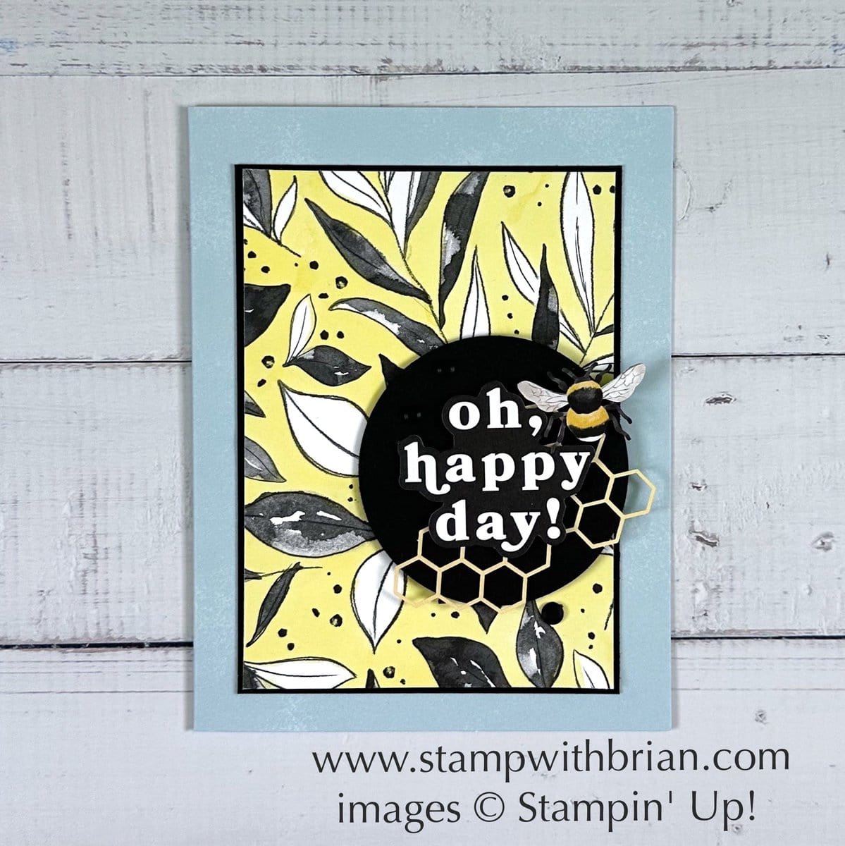 March 2025 Paper Pumpkin Alternatives, Daisy Daydream, Stampin' Up!, Brian King