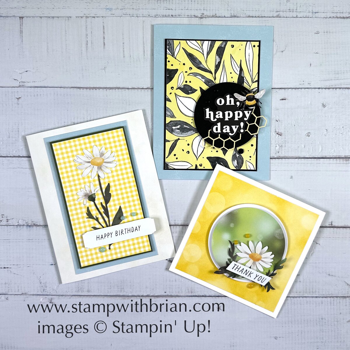 March 2025 Paper Pumpkin Alternatives, Daisy Daydream, Stampin' Up!, Brian King March 2025 Paper Pumpkin Alternatives, Daisy Daydream, Stampin' Up!, Brian King