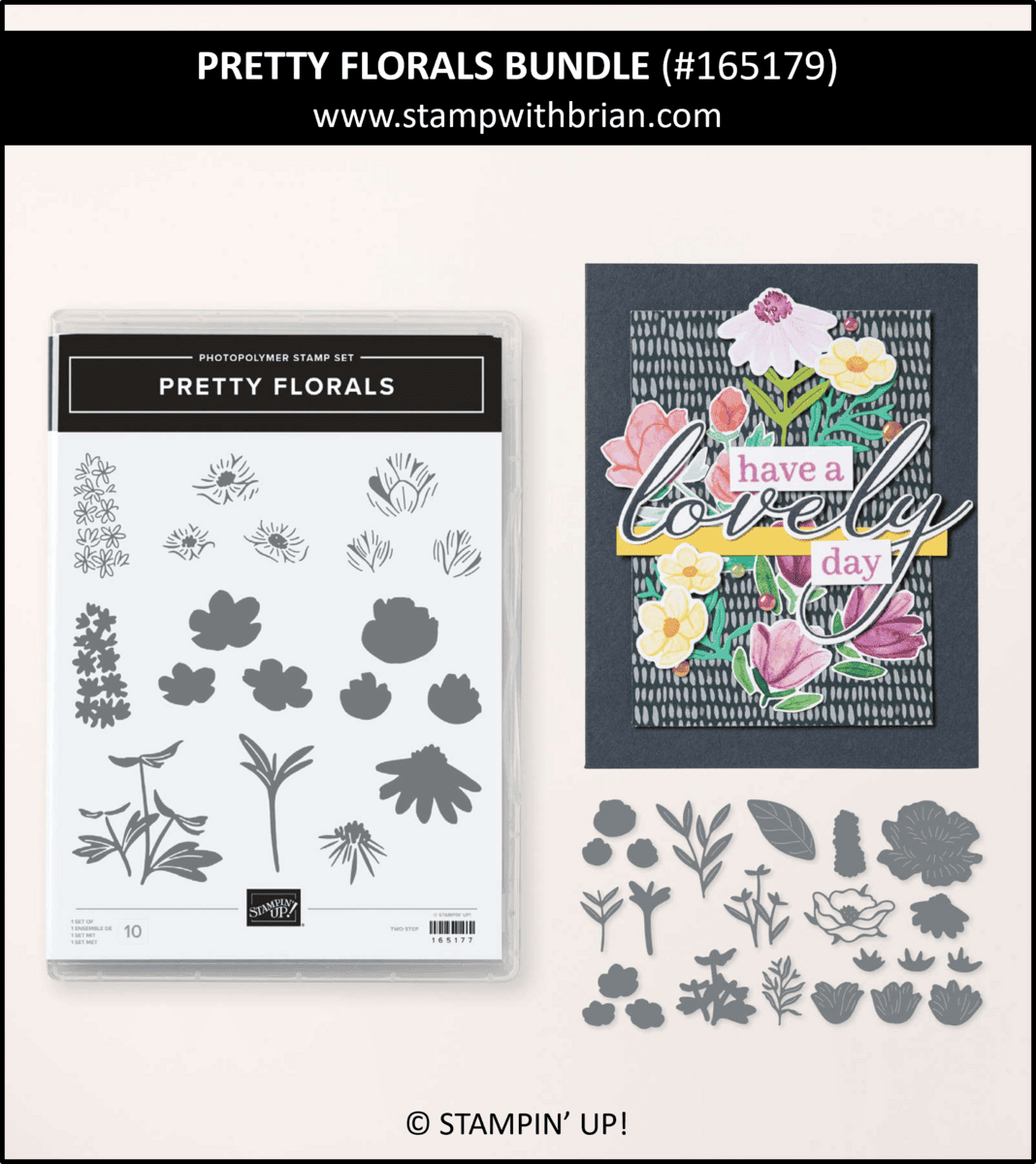 【レア】Stampin' Up! カラーセット3種 Covering Stampin' Up!'s 2025 Annual Catalog – STAMP WITH BRIAN