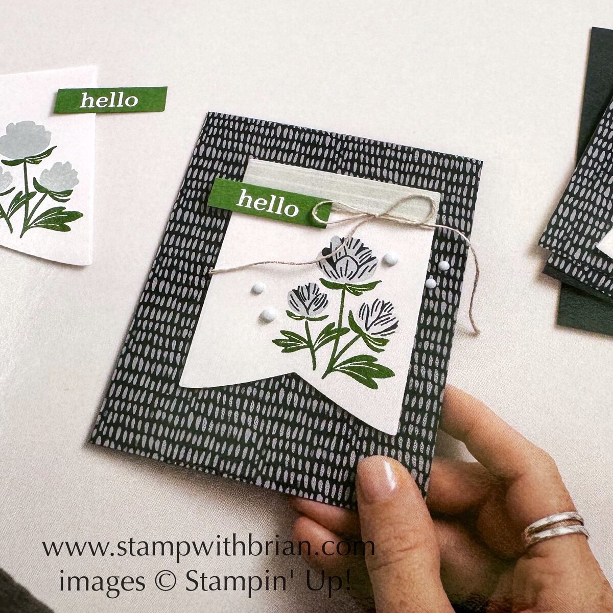 Covering Stampin' Up!'s 2025 Annual Catalog – STAMP WITH BRIAN