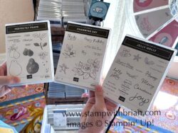 Three Upcoming Products, Stampin' Up!'s Incentive Trip, Brian King