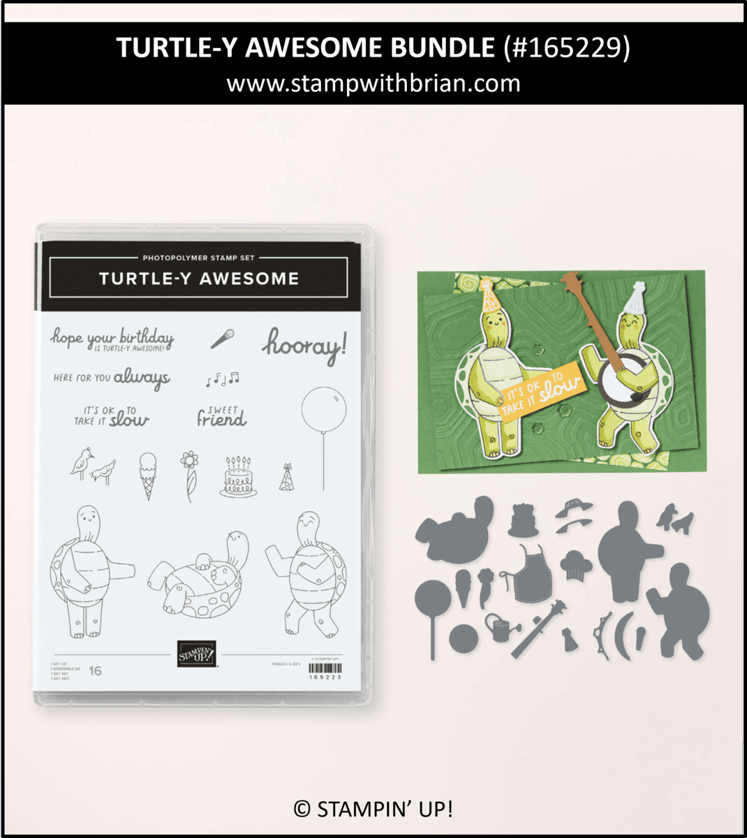 Turtle-y Awesome Bundle, Stampin' Up! 165229