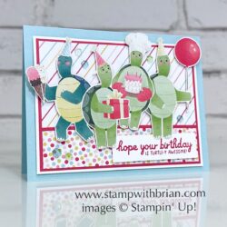 Turtle-y Cute Designer Series Paper, Turtle-y Awesome Bundle, Stampin' Up!, Brian King, fun birthday card