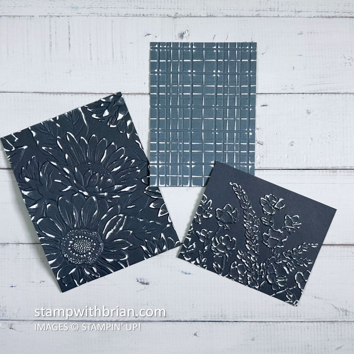 5 Fun Ways to Use Two-Tone Cardstock, Stampin' Up!, Brian King, 1 of 5
