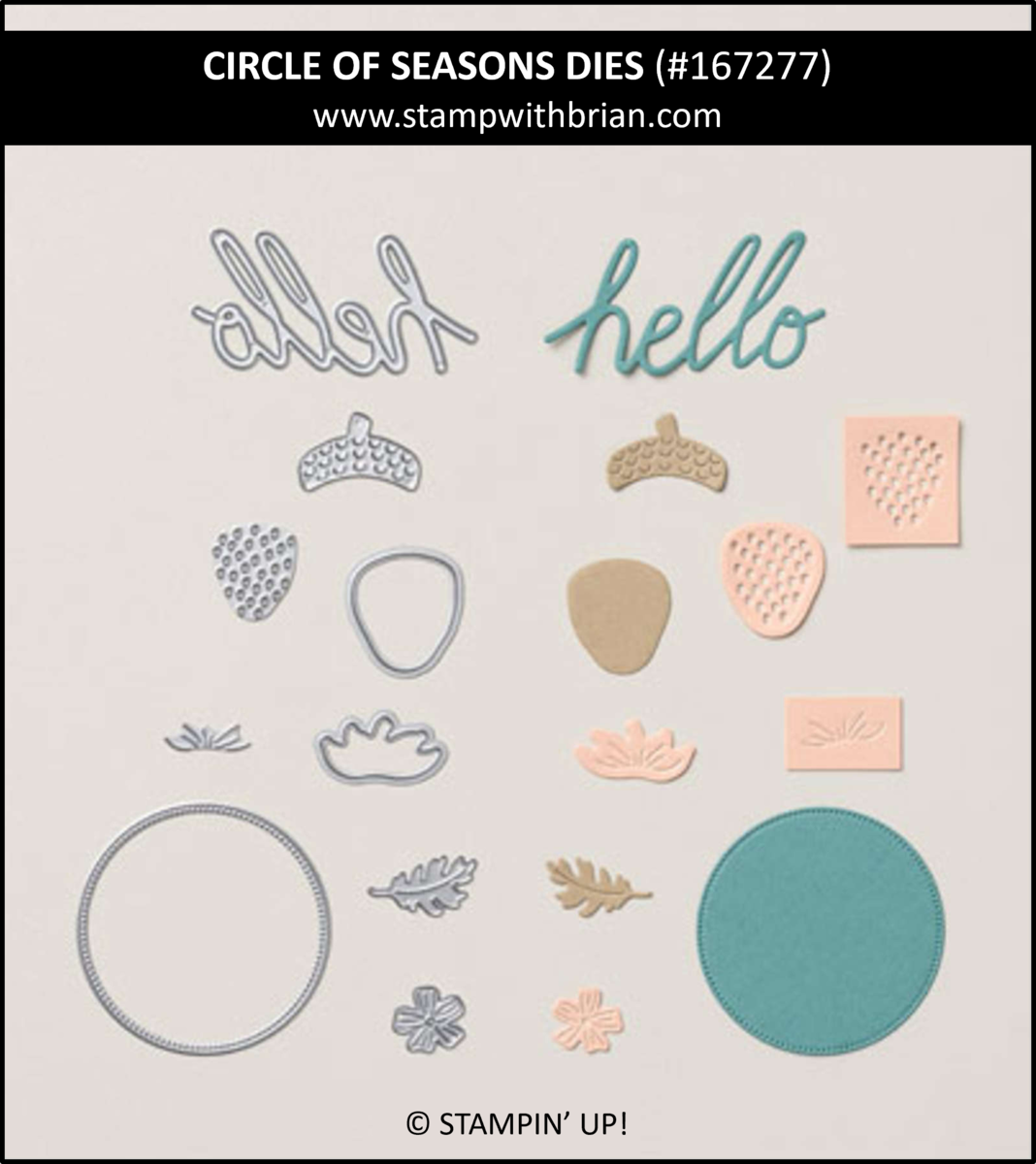 Circle of Seasons Dies, Stampin' Up! 167277