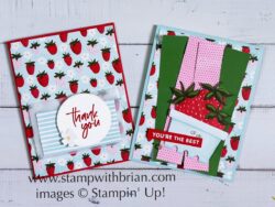 Paper Pumpkin Alternatives, Sweet with You, July 2025, Stampin' Up!, Brian King