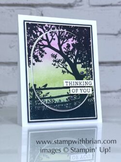 Peaceful View, Simply Said, Impressions Abloom Dies, Full of Life Designer Series Paper, Stampin' Up!, Brian King