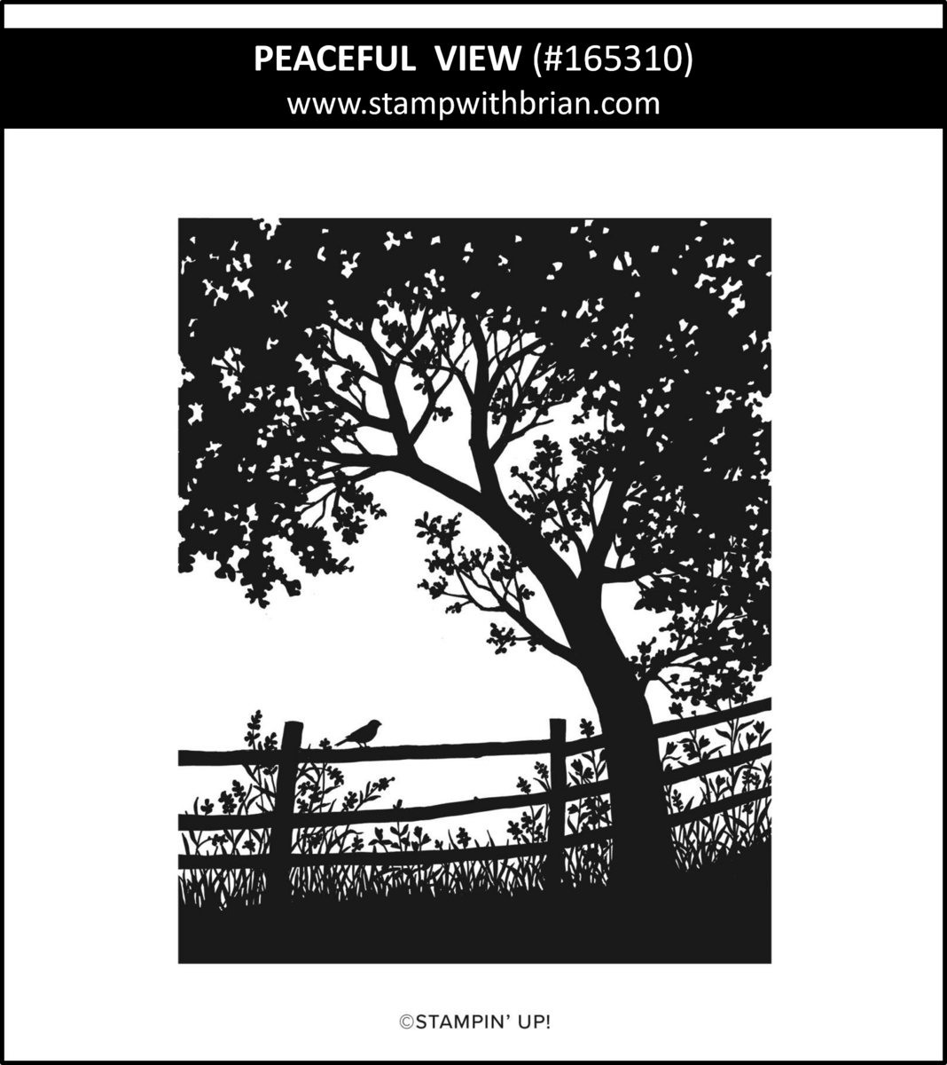 Peaceful View, Stampin' Up!, 165310