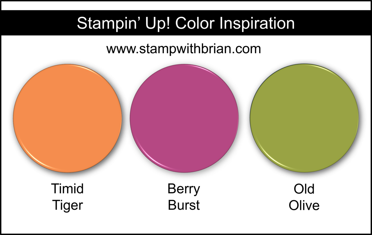 Stampin' Up! Color Inspiration - Timid Tiger, Berry Burst, Old Olive Stampin' Up! Color Inspiration - Timid Tiger, Berry Burst, Old Olive