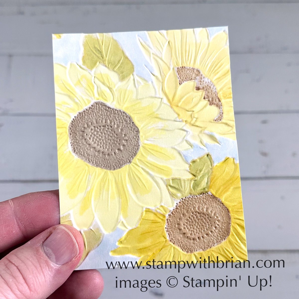 Always Here for You with the Sunflower 3D Embossing Folder – STAMP