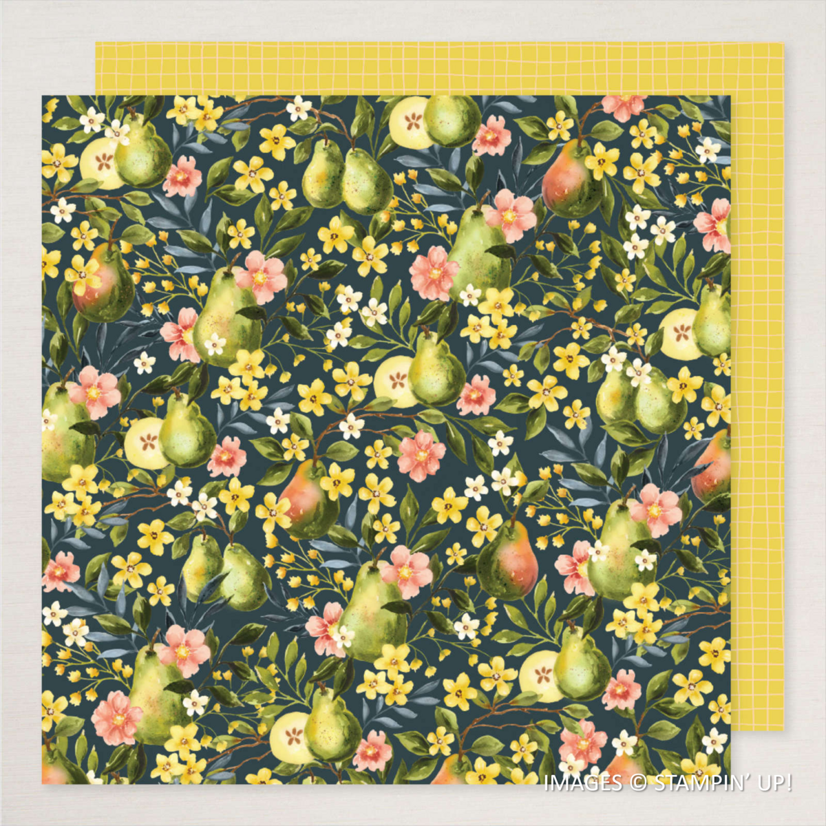 page from Painterly Pears Designer Series Paper, Stampin' Up!