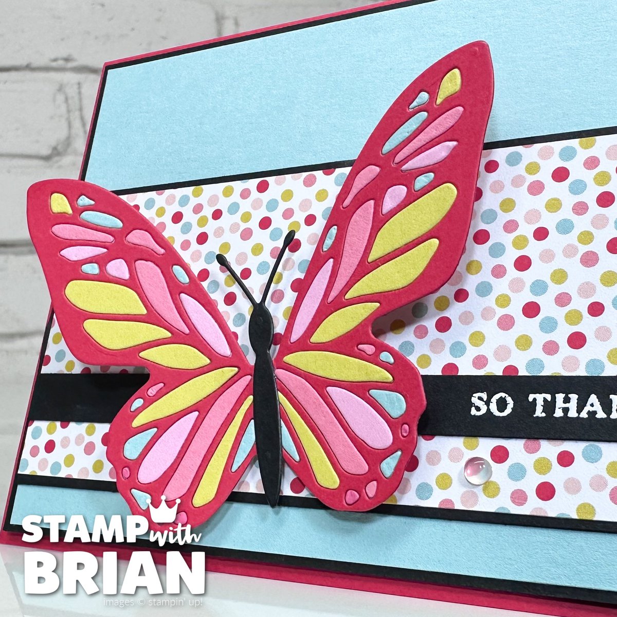 Beautiful Butterflies Bundle, Stampin' Up!, Brian King Beautiful Butterflies Bundle, Stampin' Up!, Brian King