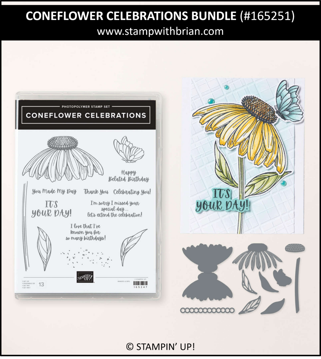 Coneflower Celebration Bundle, Stampin' Up!, 165251