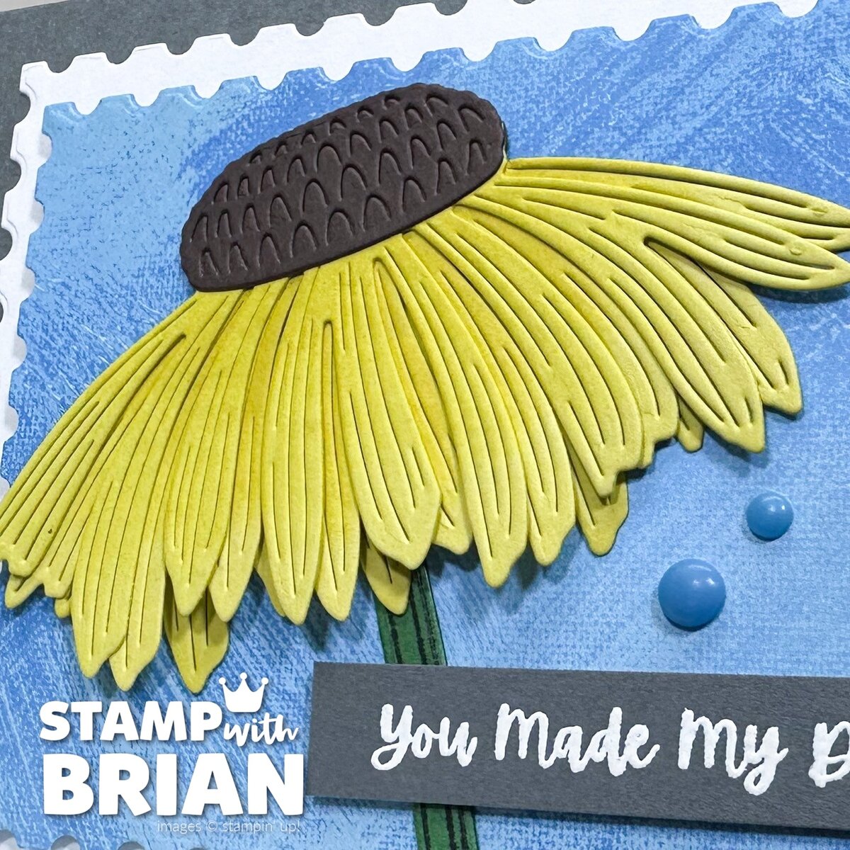 Coneflower Celebrations Bundle, Stampin' Up!, Brian King Coneflower Celebrations Bundle, Stampin' Up!, Brian King