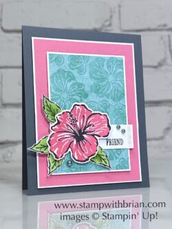 Happy Hibiscus Bundle, Perfectly Pears, Stampin' Up!, Brian King, friend card