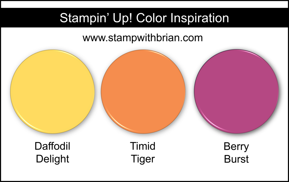 Stampin' Up! Color Inspiration - Daffodil Delight, Timid Tiger, Berry Burst Stampin' Up! Color Inspiration - Daffodil Delight, Timid Tiger, Berry Burst
