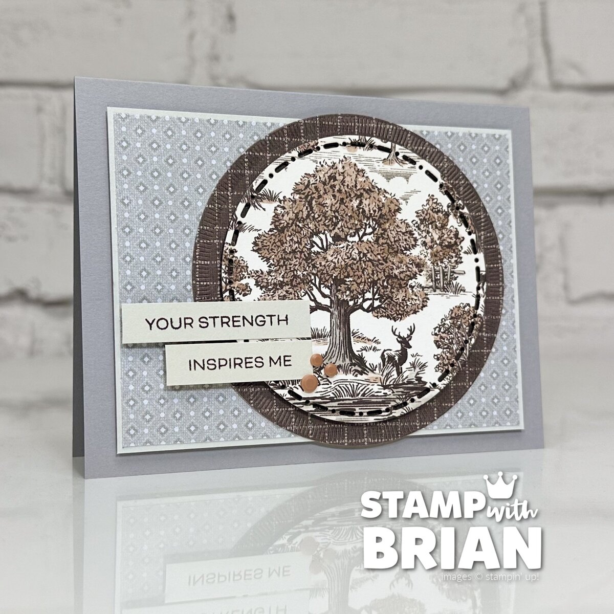 Autumn Toile Designer Series Paper, Light & Wonder, Stampin' Up!, Brian King