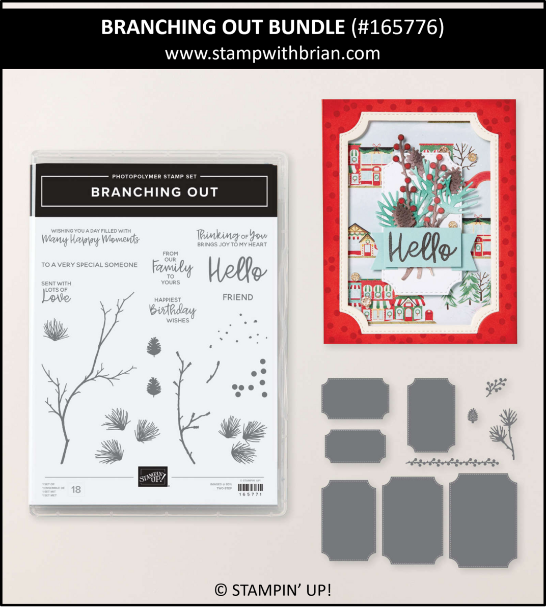 Branching Out Bundle, Stampin' Up! 165776