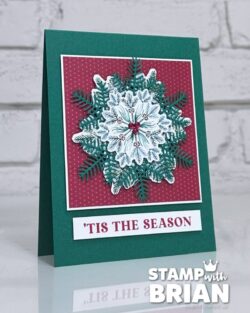 Delicate Pines Bundle, Stampin' Up!, Brian King
