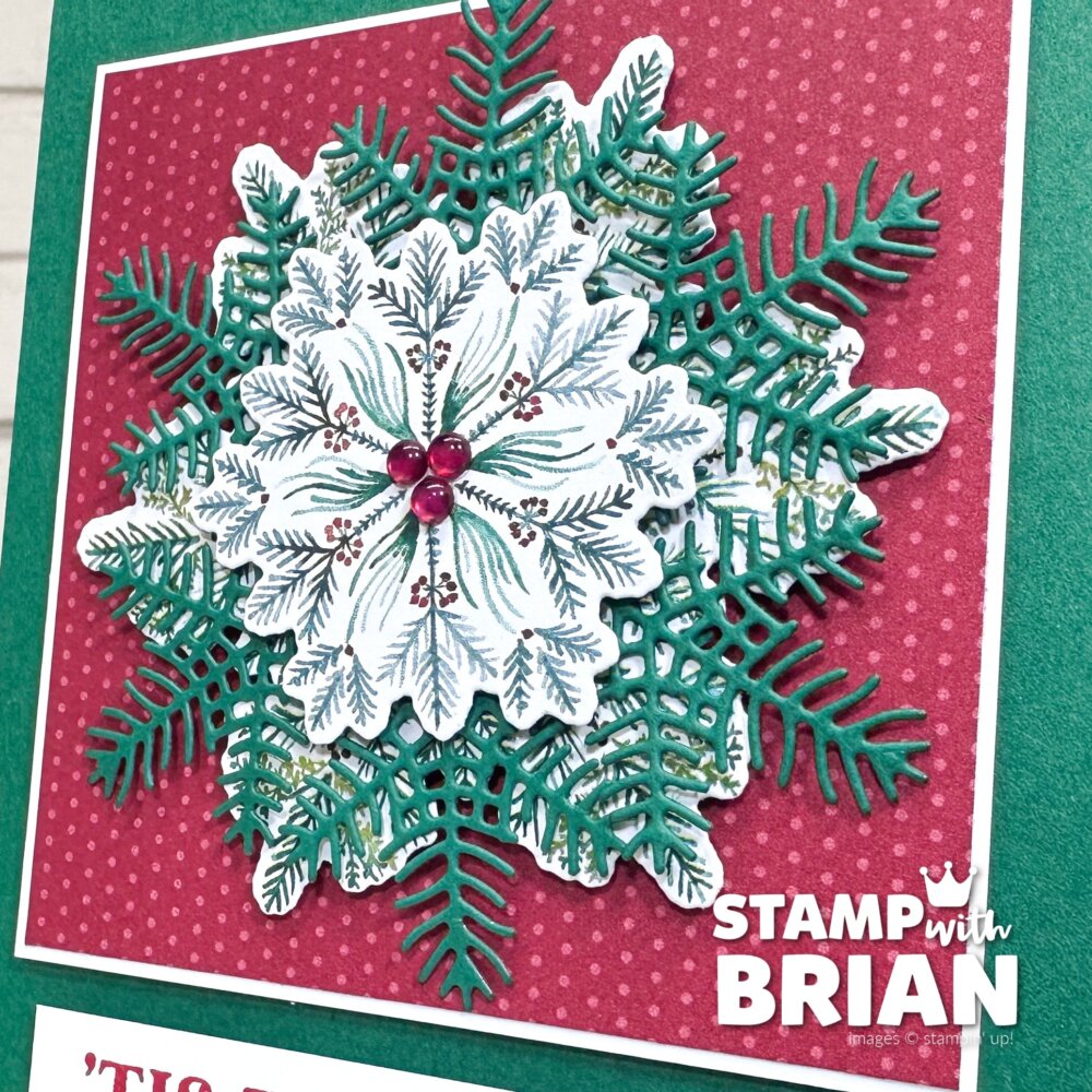 Delicate Pines Bundle, Stampin' Up!, Brian King Delicate Pines Bundle, Stampin' Up!, Brian King