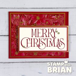 Merry Christmas, Traditions of Christmas Specialty Designer Series Paper, Stampin' Up!, Brian King, fun fold Christmas card