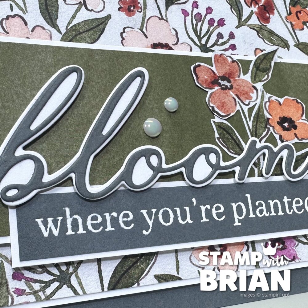 Sweet Blooms Bundle, Floral Charm Designer Series Paper, Stampin' Up!, Brian King Sweet Blooms Bundle, Floral Charm Designer Series Paper, Stampin' Up!, Brian King