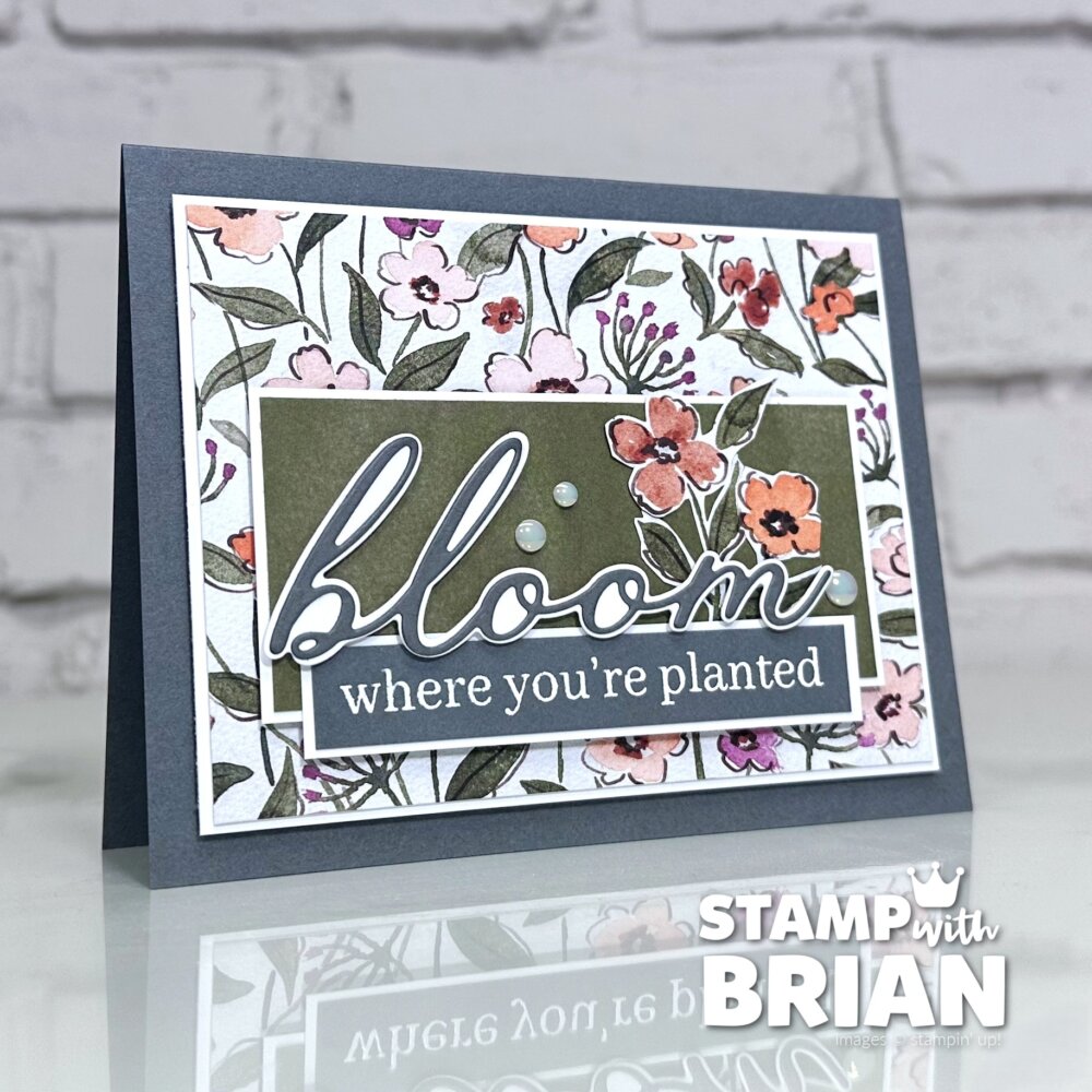 Sweet Blooms Bundle, Floral Charm Designer Series Paper, Stampin' Up!, Brian King