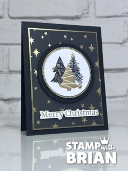 Modern Christmas Specialty Designer Series Paper, Greetings for You Ephemera Pack, Stampin' Up!, Brian King