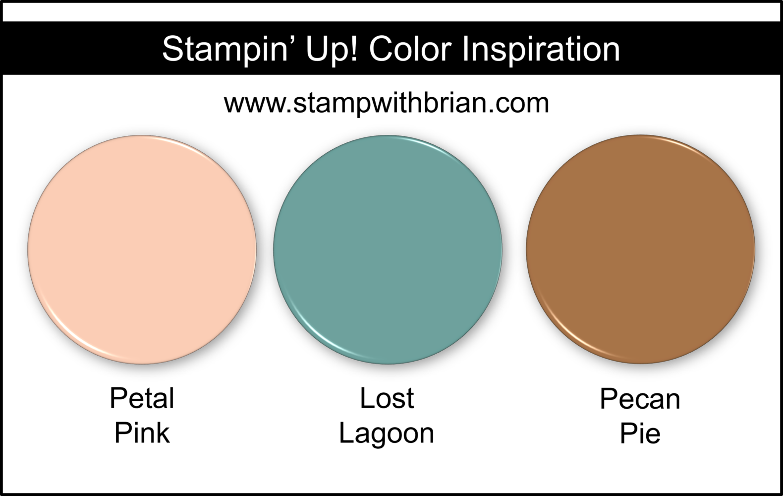 A Closer Look at the New Papers in Stampin' Up!'s Online