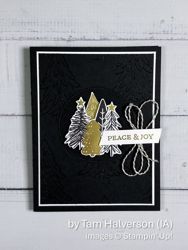 by Tam Halverson, Holiday One-for-One Card Swap, Stampin' Up! - 1 of 2 by Tam Halverson, Holiday One-for-One Card Swap, Stampin' Up! - 1 of 2