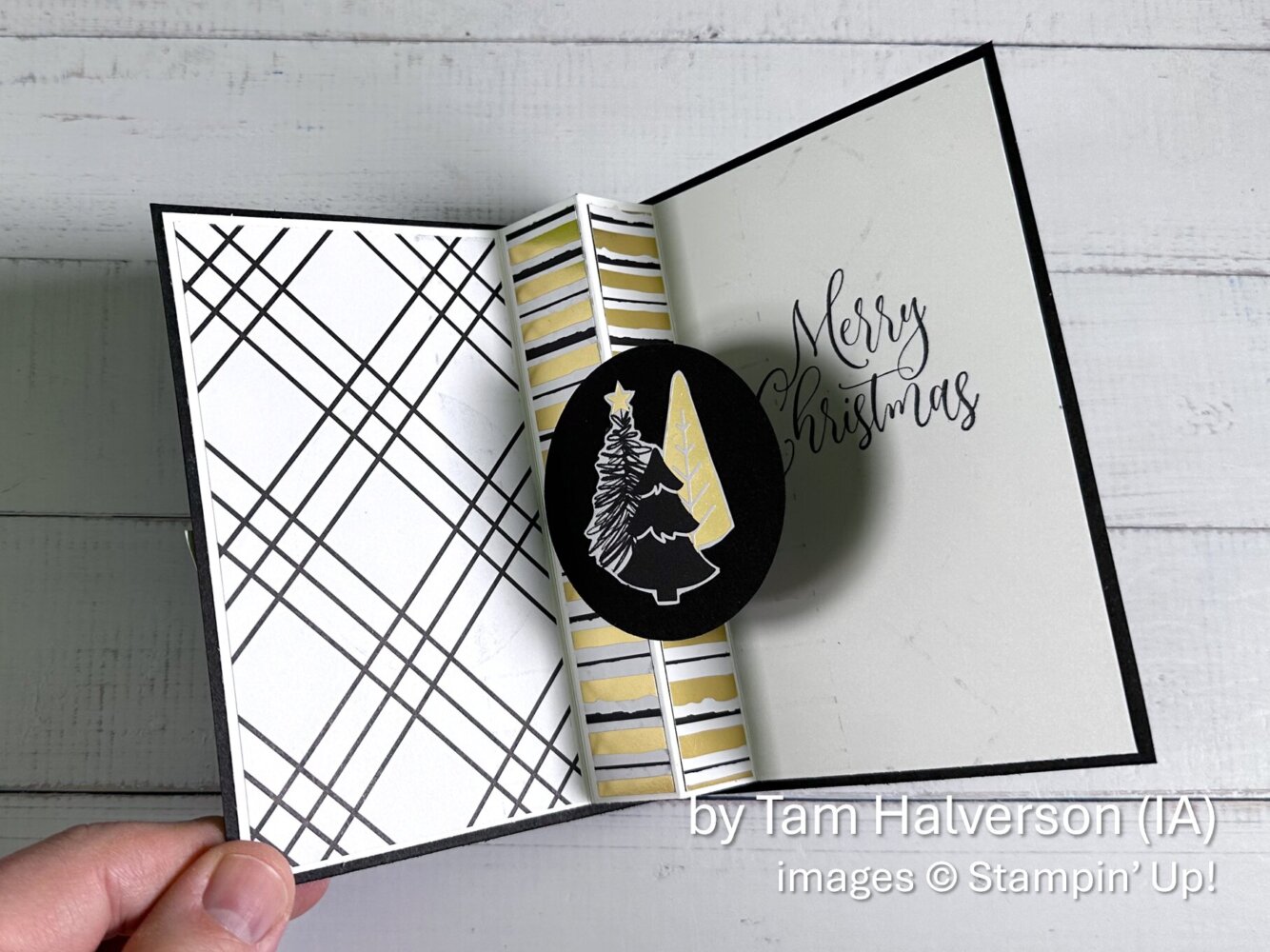 by Tam Halverson, Holiday One-for-One Card Swap, Stampin' Up! - 2 of 2 by Tam Halverson, Holiday One-for-One Card Swap, Stampin' Up! - 2 of 2