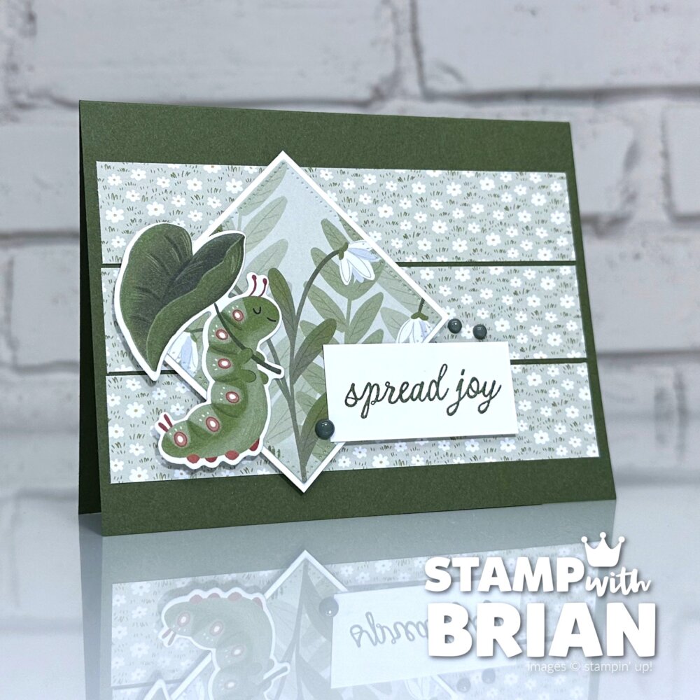 Cute as a Bug Designer Series Paper, Sweet Bugs Bundle, Stampin' Up!, Brian King Cute as a Bug Designer Series Paper, Sweet Bugs Bundle, Stampin' Up!, Brian King