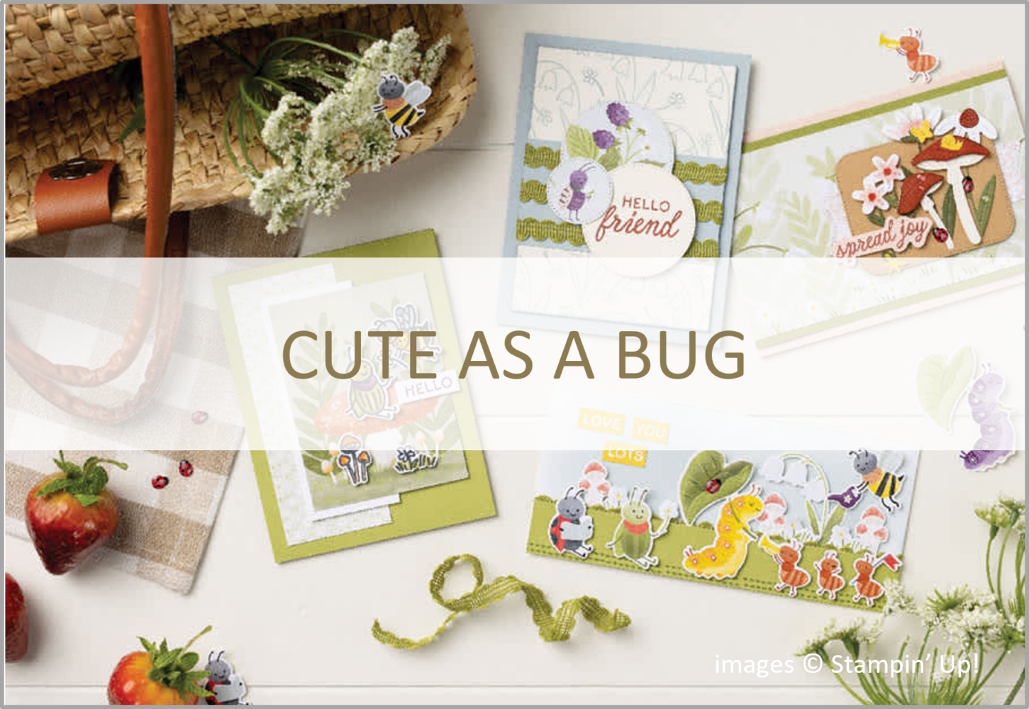 Cute as a Bug Suite Collection, Stampin' Up!