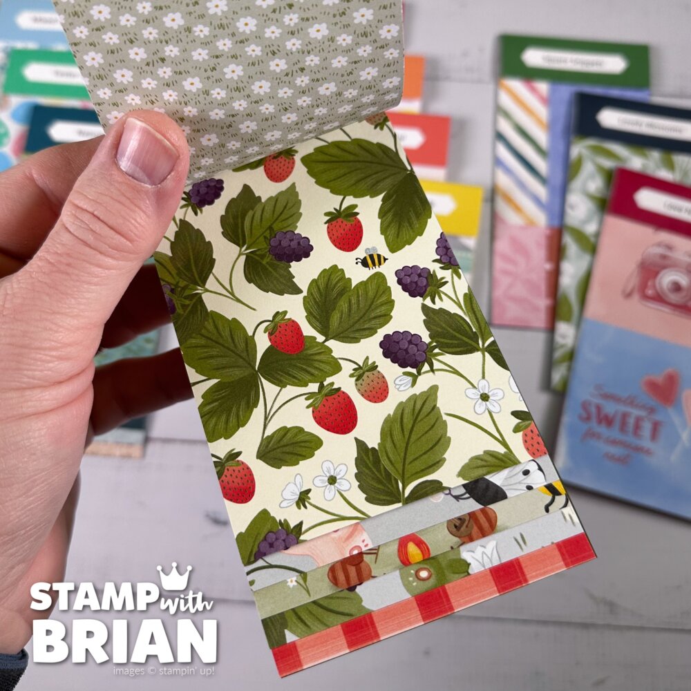 Designer Series Paper Swatch Books, 2026 Spring Mini Catalog and Online Exclusives, Stampin' Up!, Brian King Designer Series Paper Swatch Books, 2026 Spring Mini Catalog and Online Exclusives, Stampin' Up!, Brian King