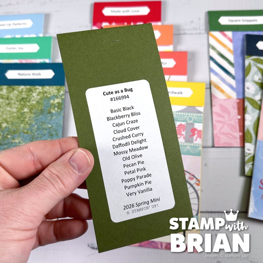 Designer Series Paper Swatch Books, 2026 Spring Mini Catalog and Online Exclusives, Stampin' Up!, Brian King Designer Series Paper Swatch Books, 2026 Spring Mini Catalog and Online Exclusives, Stampin' Up!, Brian King