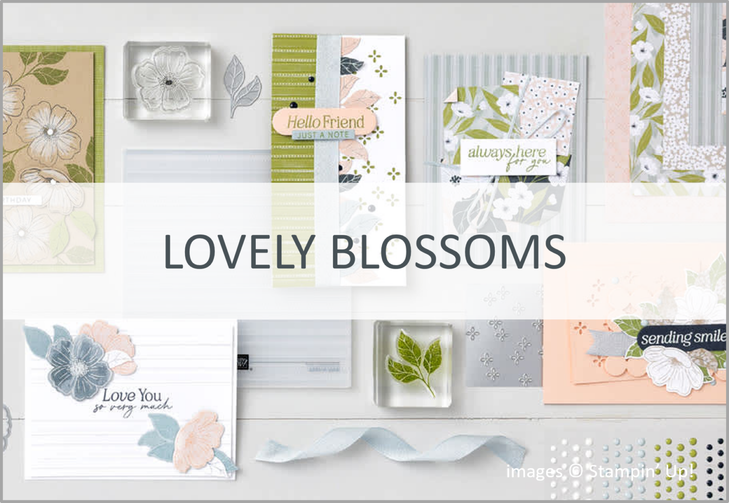Lovely Blossoms Suite Collection, Stampin' Up!