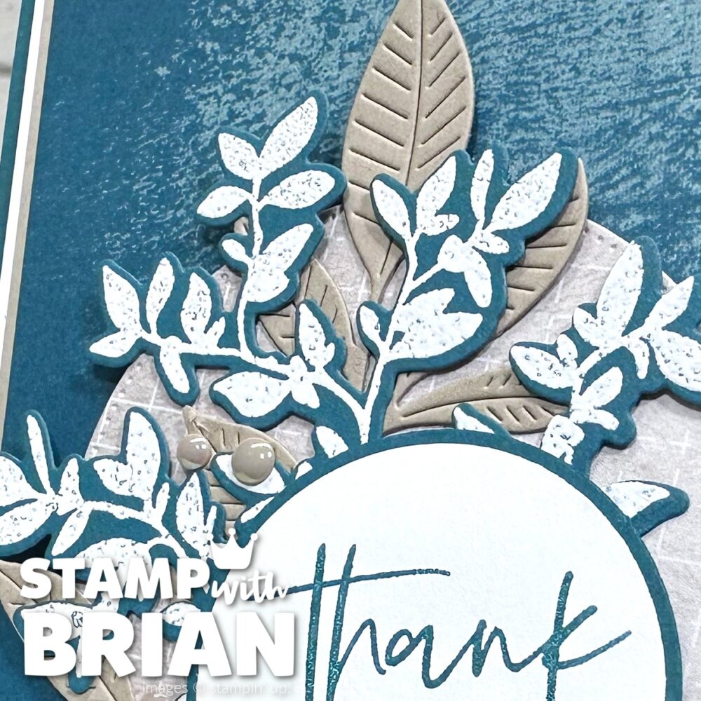 Nature's Symphony Bundle, Fabulous Sayings, Stampin' Up!, Brian King Nature's Symphony Bundle, Fabulous Sayings, Stampin' Up!, Brian King