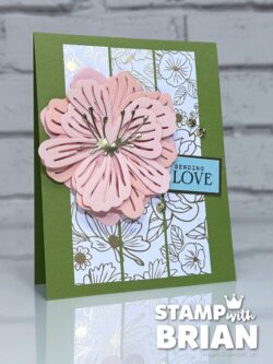 Simply Beautiful Dies, Lovely & Beautiful Specialty Designer Series Paper, Stampin' Up!, Brian King