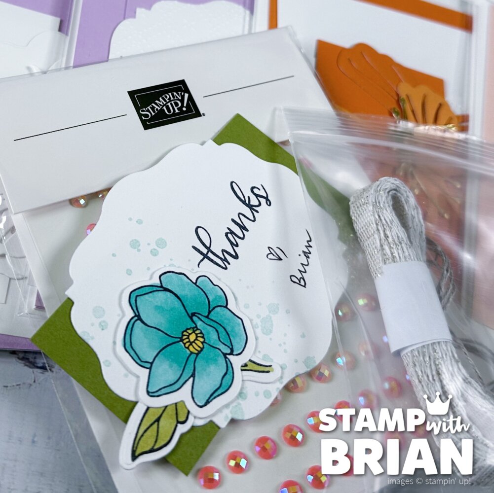 Simply Beautiful & Simply Celebrated, tags, Stampin' Up!, Brian King, Super-Awesome Fun Time Card Kit Simply Beautiful & Simply Celebrated, tags, Stampin' Up!, Brian King, Super-Awesome Fun Time Card Kit