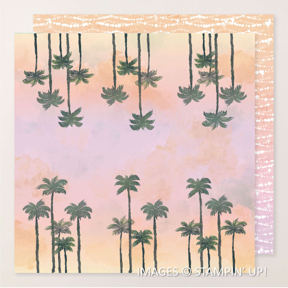 design from Beach Boardwalk Designer Series Paper, Stampin' Up! design from Beach Boardwalk Designer Series Paper, Stampin' Up!
