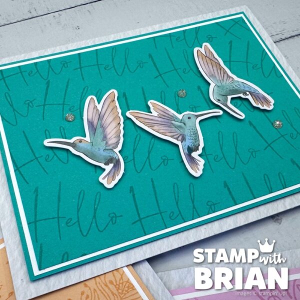 March 2026 Paper Pumpkin Alternatives, Fluttering Garden, Stampin' Up!, Brian King - Shy Shamrock March 2026 Paper Pumpkin Alternatives, Fluttering Garden, Stampin' Up!, Brian King - Shy Shamrock
