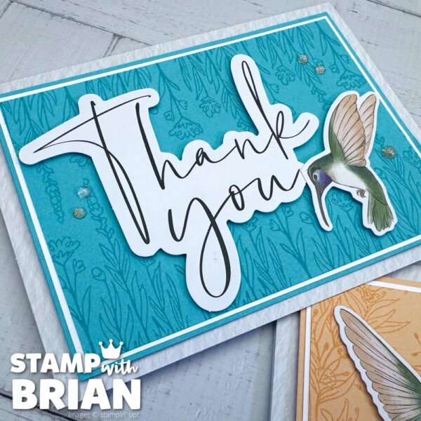 March 2026 Paper Pumpkin Alternatives, Fluttering Garden, Stampin' Up!, Brian King - Summer Splash March 2026 Paper Pumpkin Alternatives, Fluttering Garden, Stampin' Up!, Brian King - Summer Splash