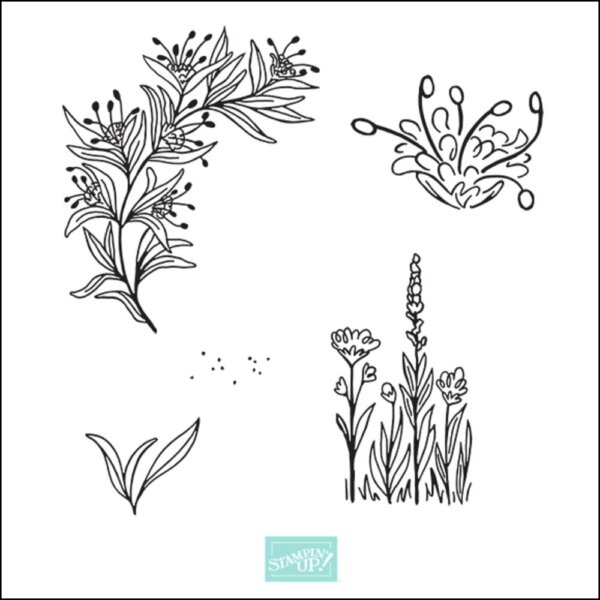 March 2026 Paper Pumpkin, Fluttering Garden stamp set, Stampin' Up!