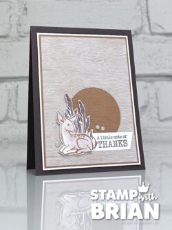Notes of Nature, Wood Grain Designer Series Paper, Stampin' Up!, Brian King, handmade thank you card