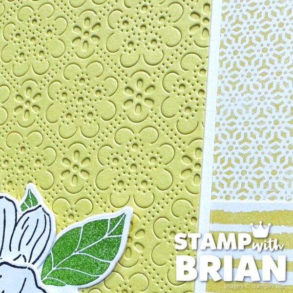 Lovely Arrangements Bundle, Eyelet Blooms Dies, Stampin' Up!, Brian King Lovely Arrangements Bundle, Eyelet Blooms Dies, Stampin' Up!, Brian King