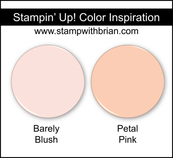 Stampin' Up! Color Inspiration - Barely Blush, Petal Pink