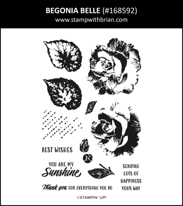 Begonia Belle, July 2026 Product of the Month, Stampin' Up! 168592