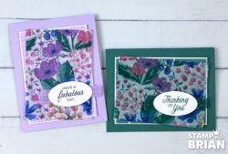 Berry Botanical Vellum, Phrases & Frames Bundle, Stampin' Up!, Brian King