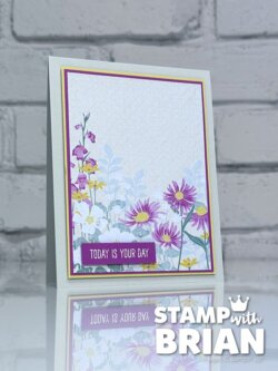 Velvet Meadow Specialty Designer Series Paper, Relaxing Waterside, Stampin' Up!, Brian King, birthday card