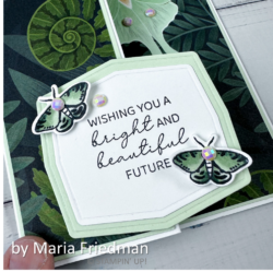 by Maria Friedman, Fern & Flora Bundle, Moonlit Flora Designer Series Paper, Sincere Salutations, Stampin' Up!